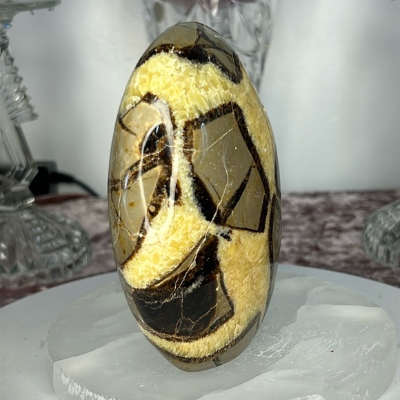 Septarium Freeform - SF01 - Picture 4 of 5